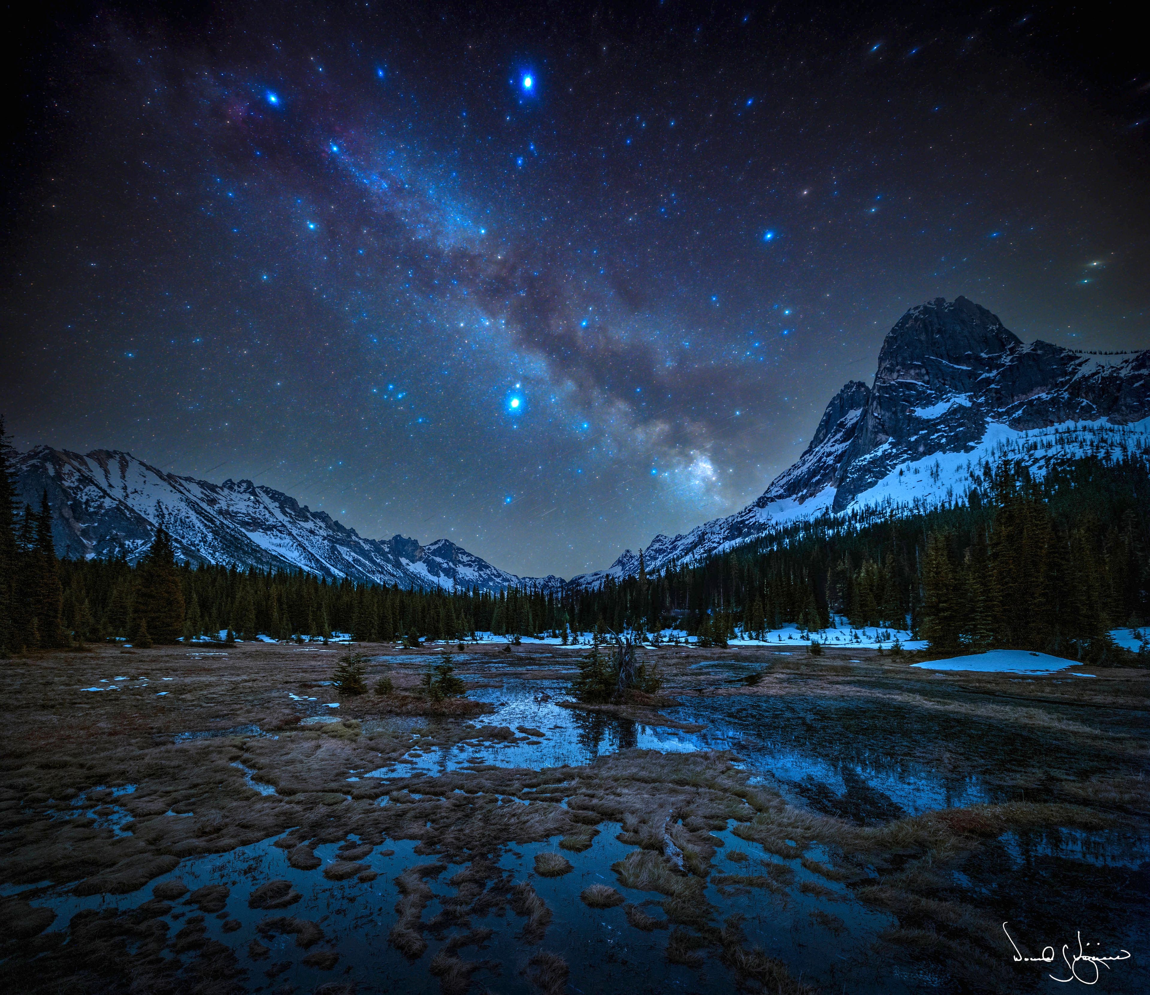 Spring Runoff Meadow 