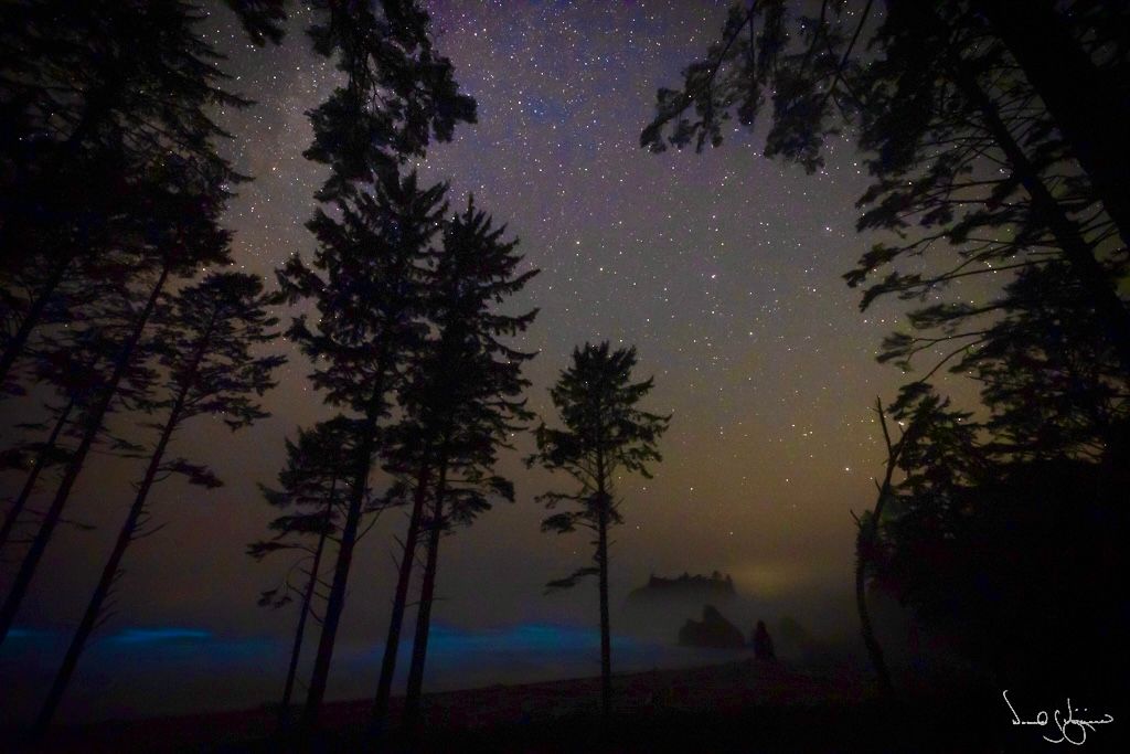 Bioluminescence Beach 