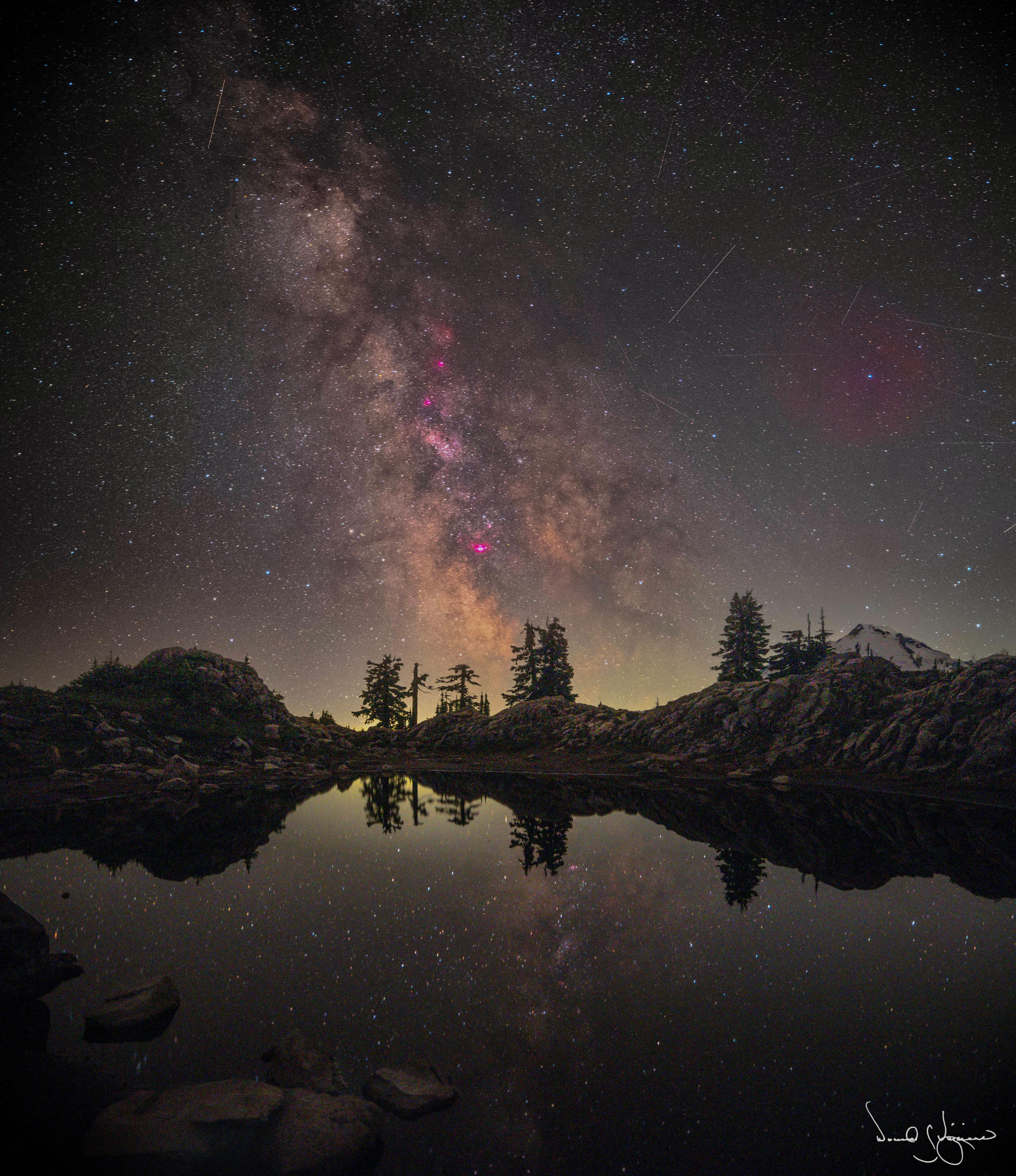 Still of the Night 