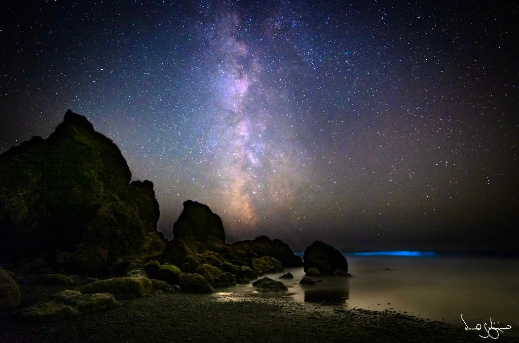 Beach Bioluminescence 