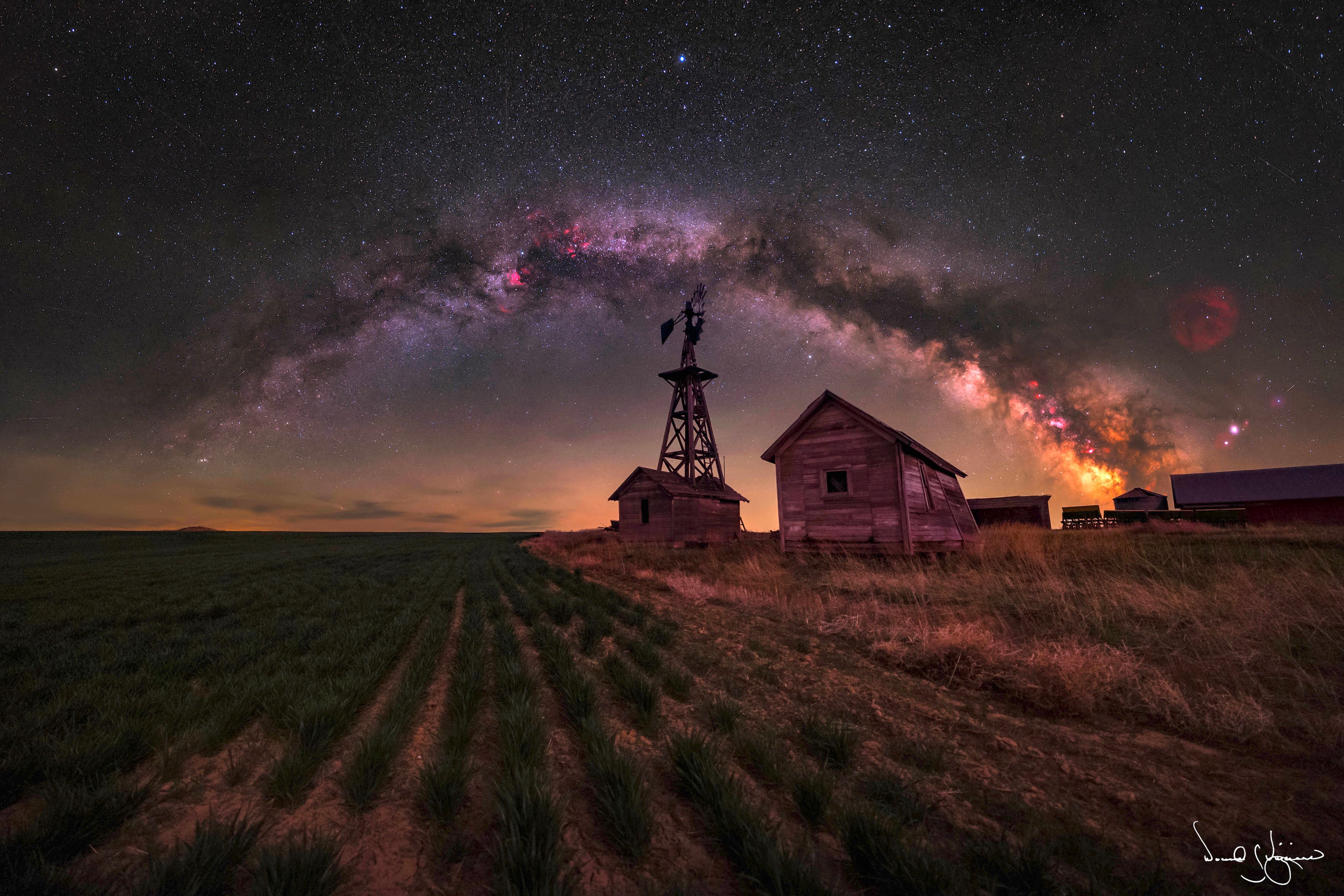 Winter Wheat 