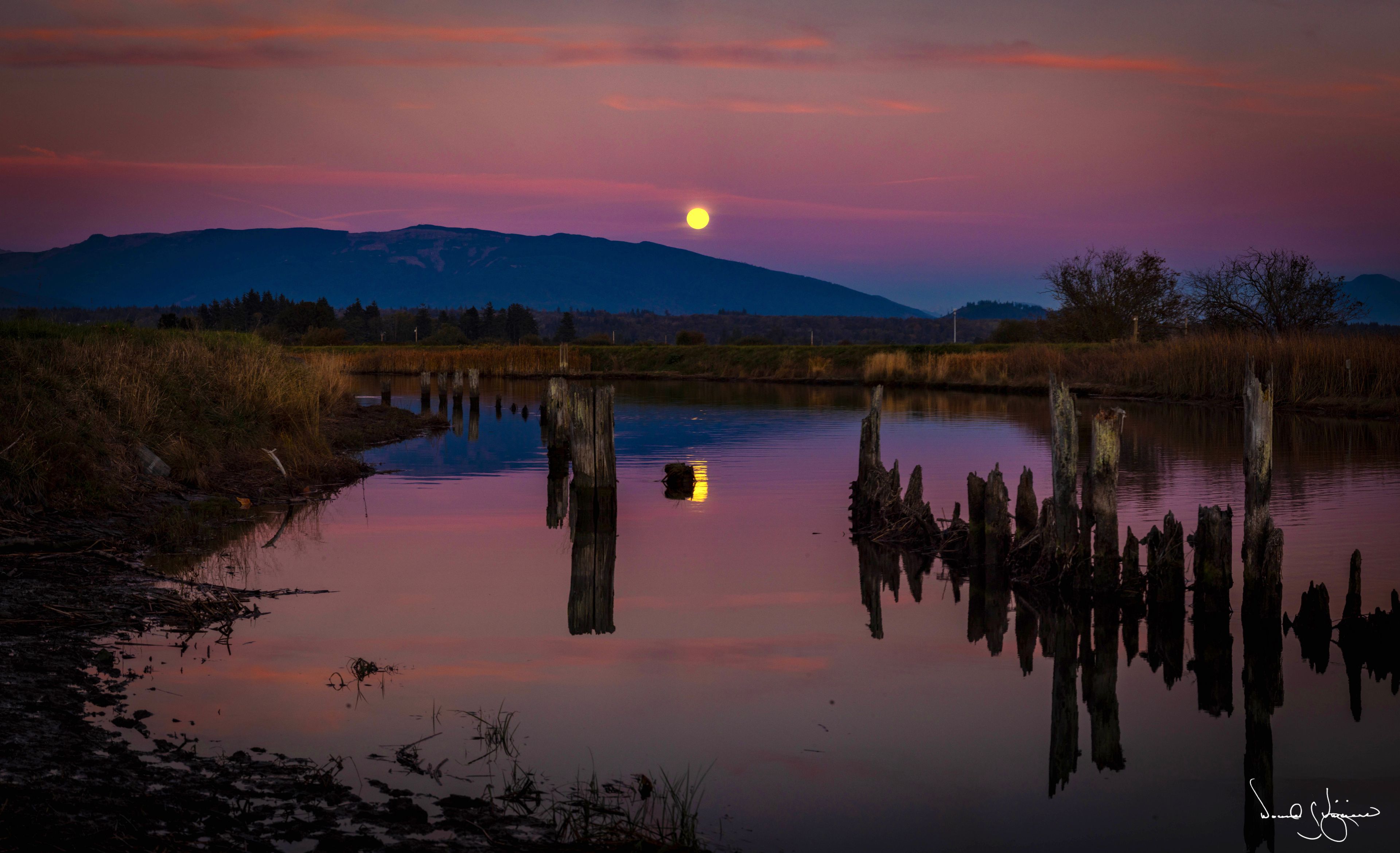 Harvest Moon on the Samish